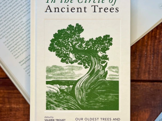 In the Circle of Ancient Trees book by Valerie Trouet