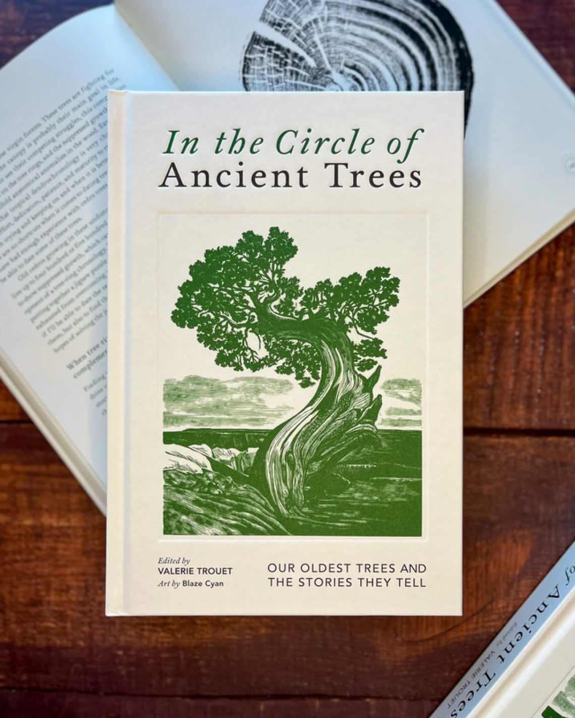 In the Circle of Ancient Trees book by Valerie Trouet